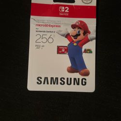 256 GB MicroSD 