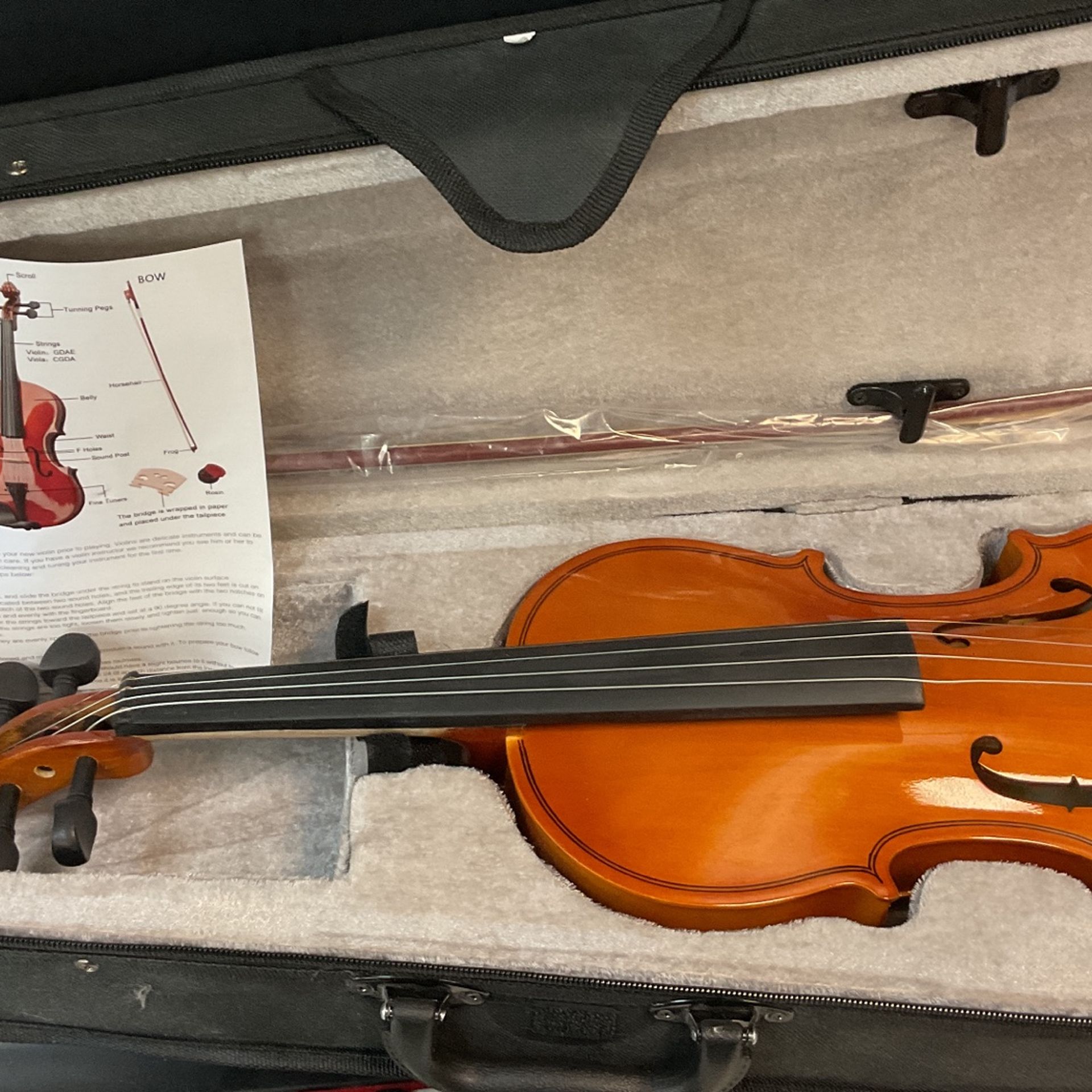 New Violin