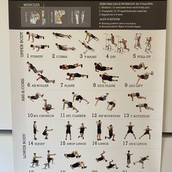 Poster BODYWEIGHT Workout Exercise for Men 18”x24”