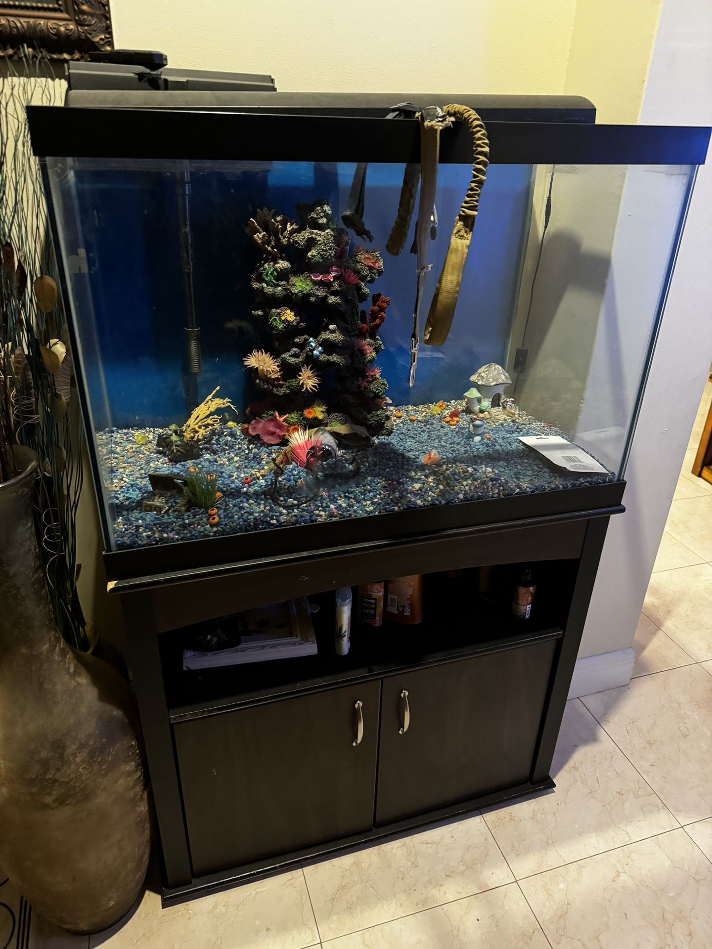 Fish  Tank