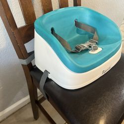 Ingenuity Booster Seat 