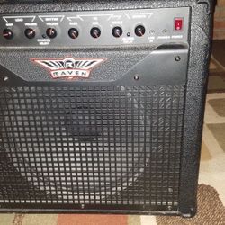 Raven RG 20 Guitar Amplifier