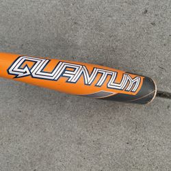 Easton Quantum Baseball Bat USA Stamp 30 In 19 Ounces 2-5/8” Barrel 