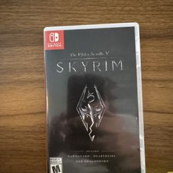 Nintendo Switch Skyrim