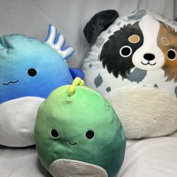 Squishmallow  Set 