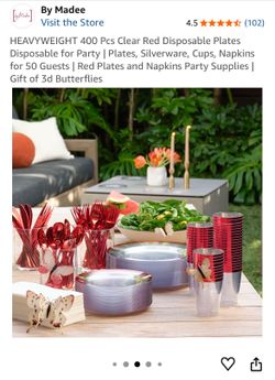 Party with new beautiful Tableware set
