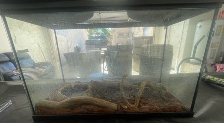 20 gallon tank