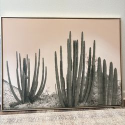 Desert Cactus Canvas