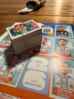 Panini World Cup stickers