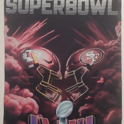 Custom Superbowl Garden Flags