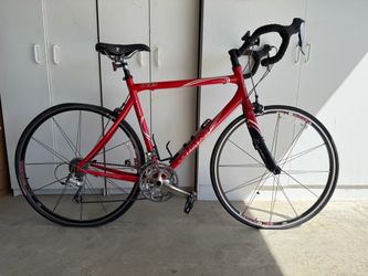 Giant OCR2 , red size L
