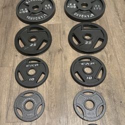 BRAND NEW Full Set Of Cast Iron Weight Plates  from 5s to 45s [Total: 245 lbs] 