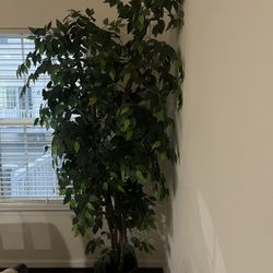 Decoration Tree