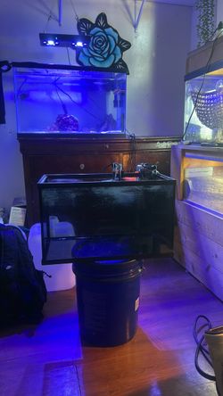 10 gallon bundle salt water tank