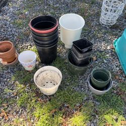 Free Plant Pots And Lattice 