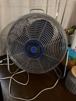 Lakewood Floor Fan