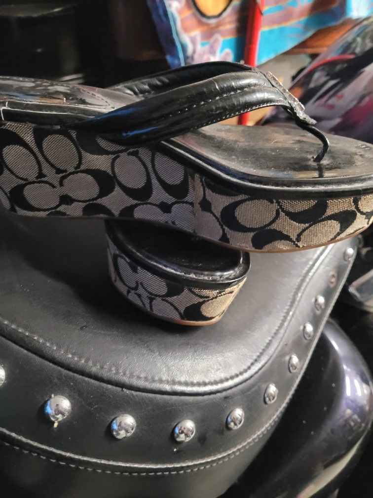 Shoes Coach
