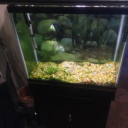 20 Gallon Tank And Stand