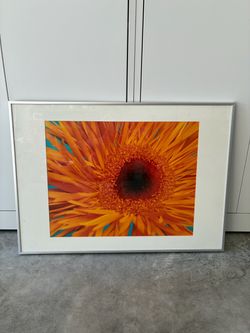 IKEA floral wall art in silver aluminum frame