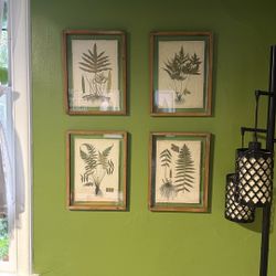Four Paintings Plants