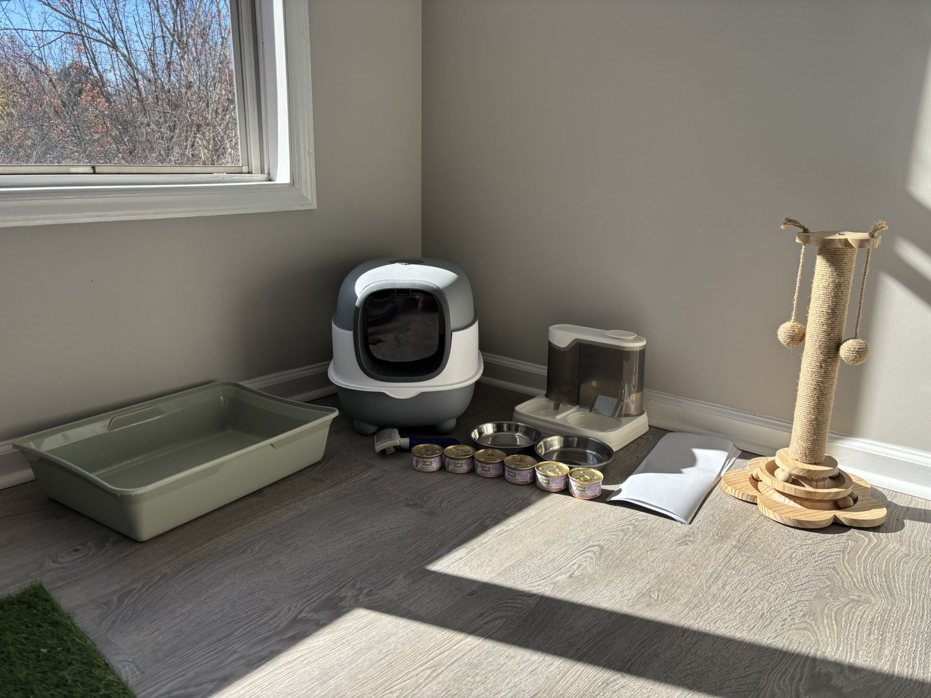 Cat Kitten starter kit