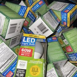 Led Light Bulb Soft White 120 V 60 W