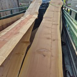 Live Edge Slabs