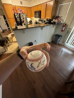 Multi Signature Astros Baseball