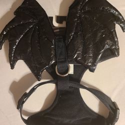 Halloween Custom Dog Party 