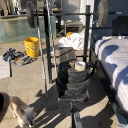 Weights/bench
