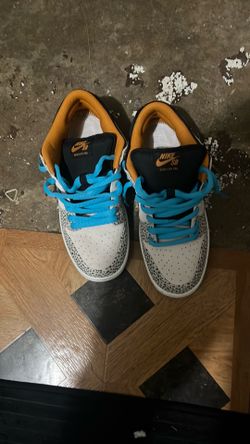 Nike dunk sb low pro