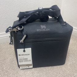 Stanley Lunchbox Cooler