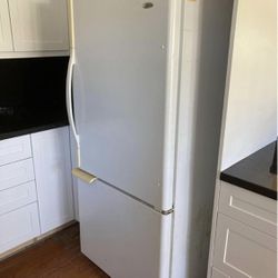 Refrigerator Fridge  Free Delivery 