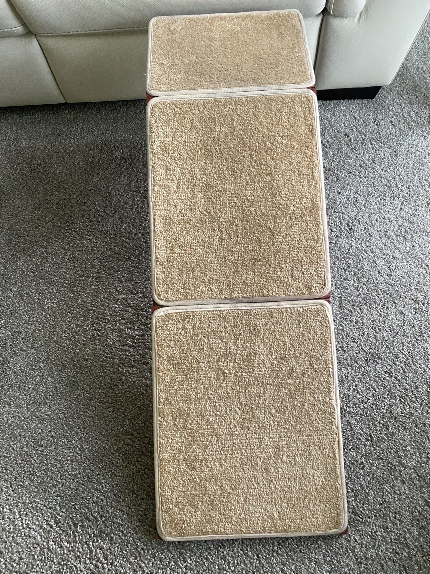 Wood Dog Ramp