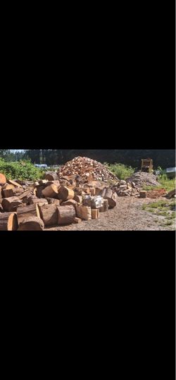Large Quantity of Firewood Logs