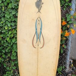 5ft 10 Zippi Fish $100 Surfboard