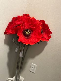 Giant flowers