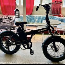 Mukkpet foldable e-bike..