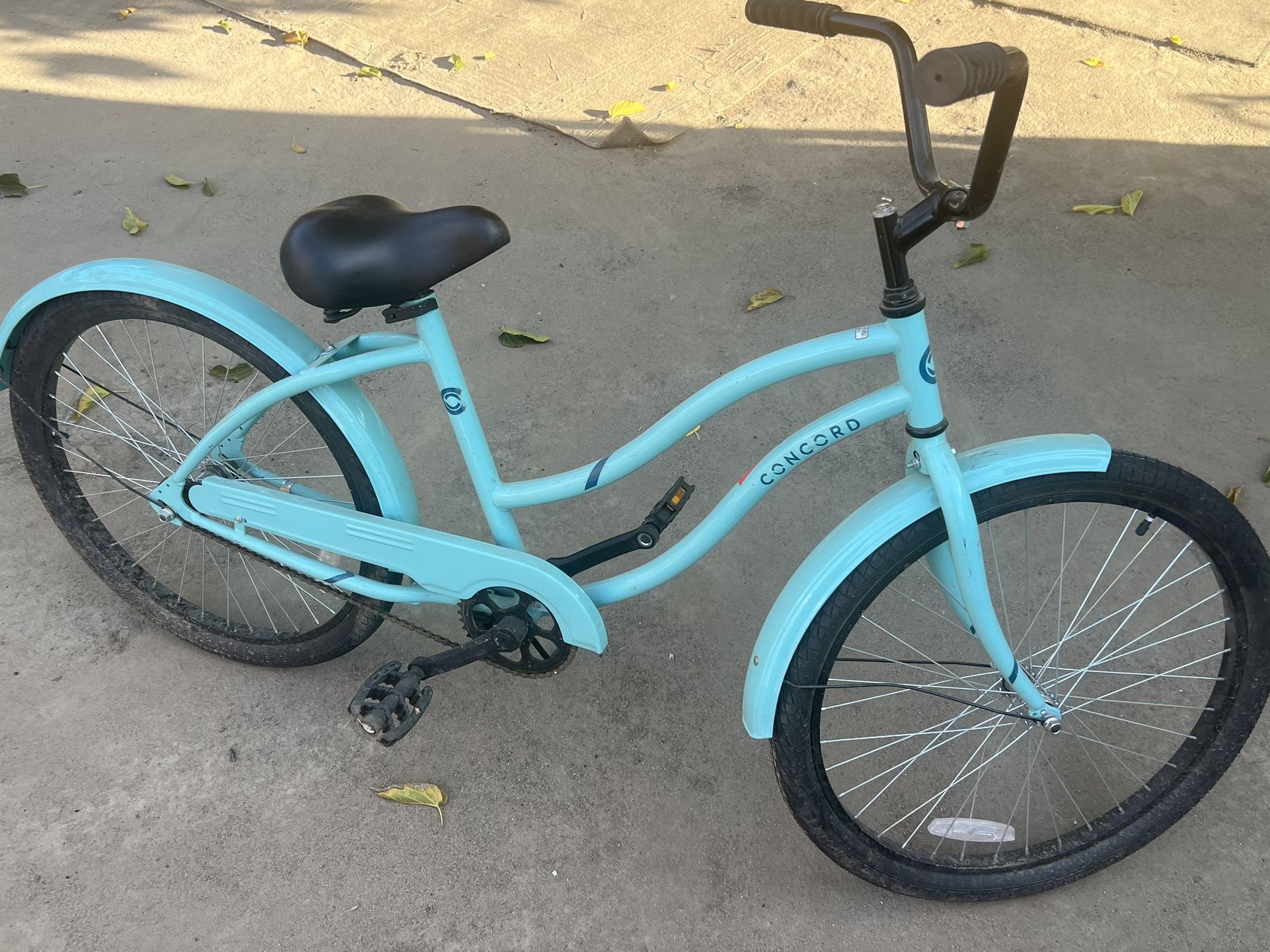 24" Concord Pacifica Cruiser Bicycle