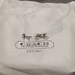 Hand And Shoulder Bag