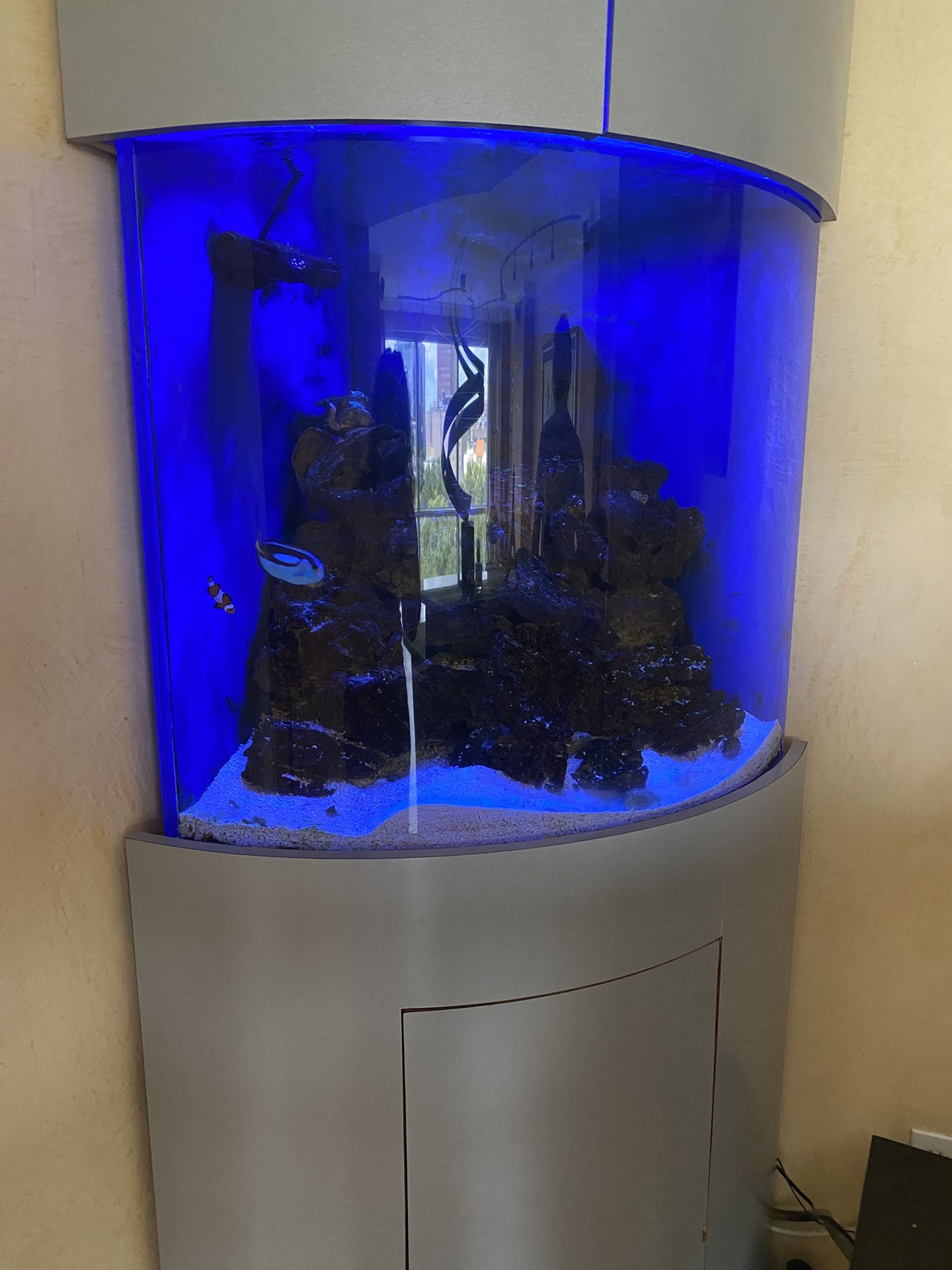 Aquarium, Fish, And Supplies