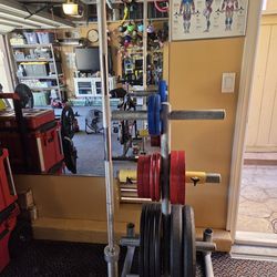 Olimpic And Bumper ,Weights ,Exercise, Fitness Etc.