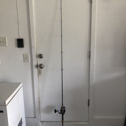 Custom Made Spinning Rod w/Reel