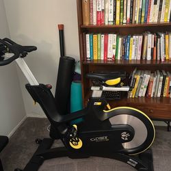 Cybex Indoor spin exercise bike