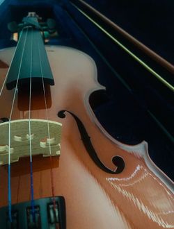 Violín