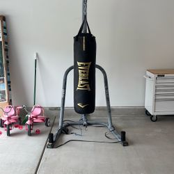 100lb Punching Bag With Stand 