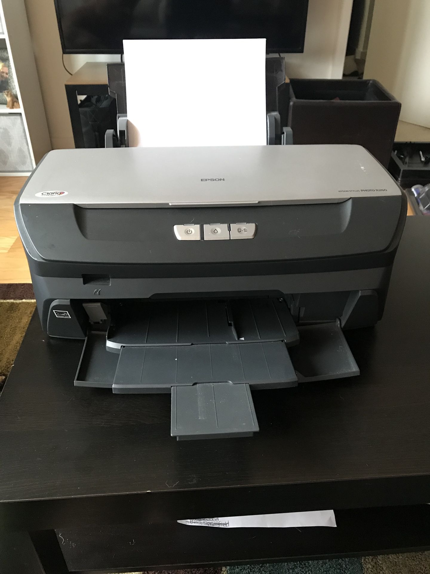 Epson Stylus Photo R260 printer