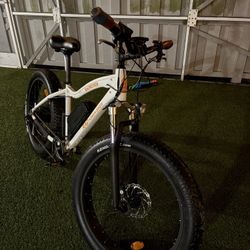 Electric Bike