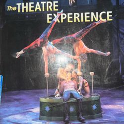 The Theatre Experience 