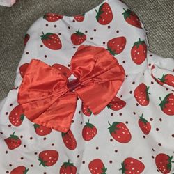 Medium Girl Dog Dresses